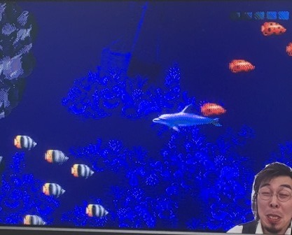 エコー・ザ・ドルフィン2: ゲームセンターFR